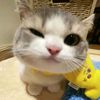 lemonilove_5