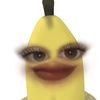 guzmxn_0