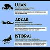 useryusufyusufzakir
