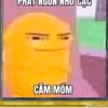 user372788486