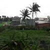 thanh2k25