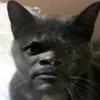 cat_hunter123