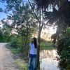 chheephangmail.com