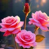 hien.hoa.hau41