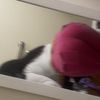 alinaa6923