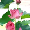 hongthu_1234