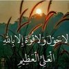 user2814054169488