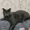 alex_zhez