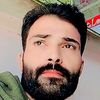 aligill2646