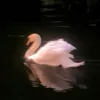 ghada__kandar
