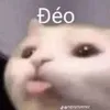 binbumbim.3