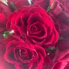 faridwalizada6