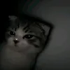 syxnpgo