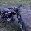 ddgvfjccom2