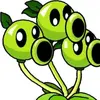 peashooter_3_heads827