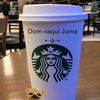 domvaquimagrinho