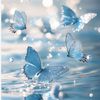 user1050411425211