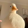 sohila_nabil23