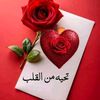 user3772556760232