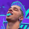 Cortessecos