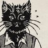 MEOWTEOR !!