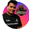 grizzly_cs2
