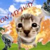trialcat