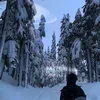 maxxx813