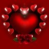 user4517343703522