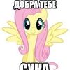 plov367