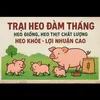thangdamvanthang4