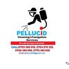 Pellucid Uganda