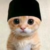 _penjah12