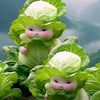 ayemon2518