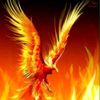 user81824403979590