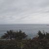 ldhcam