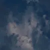 lo__509