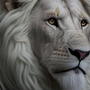 whitelion572