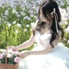 sinya293