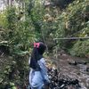 azaliea_