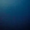 vncng730