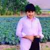 pakhtunyar614