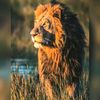 sahit_1212