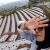 dindhea.2