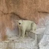 namiko2424
