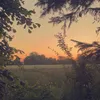katharina_96