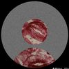 nazzxs_privx1