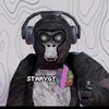 officialst4rygt