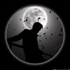 user451387455
