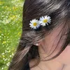 8__sara